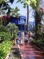 198_majorelle * 600 x 800 * (589KB)