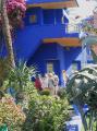 199_majorelle * 597 x 800 * (543KB)