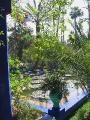 200_majorelle * 600 x 800 * (661KB)