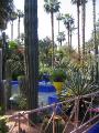 201_majorelle * 600 x 800 * (548KB)